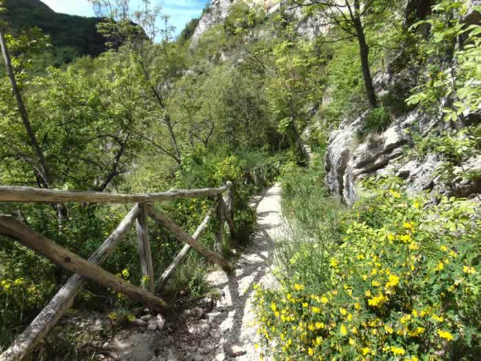 Sentiero per le Gole del Salinello