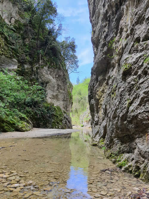 Specchio d’acqua