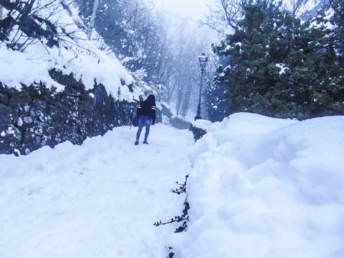 Sentiero con la neve