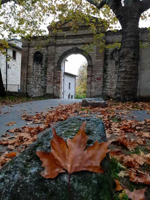 Arco Santangelo