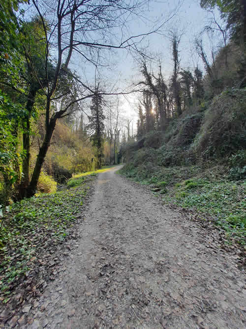 Sentiero per l’Eremo dei Frati Bianchi a Cupramontana