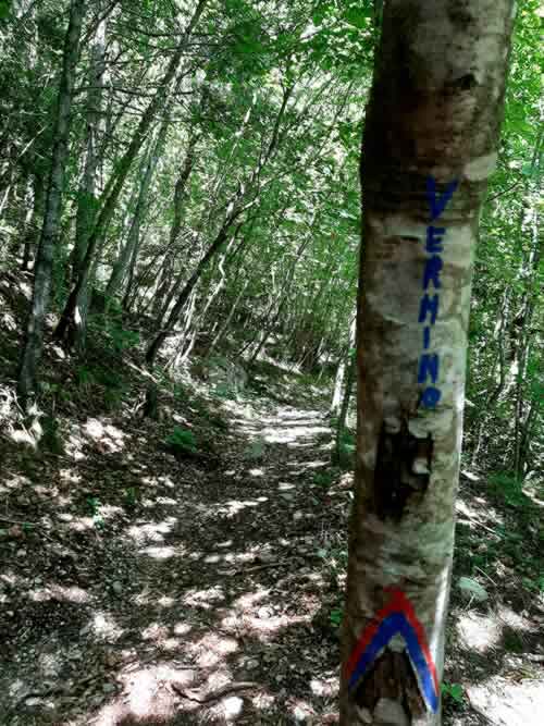 Segno del sentiero su un albero