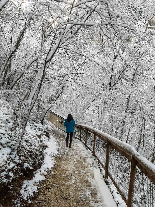 Ragazza su un sentiero coperto di neve