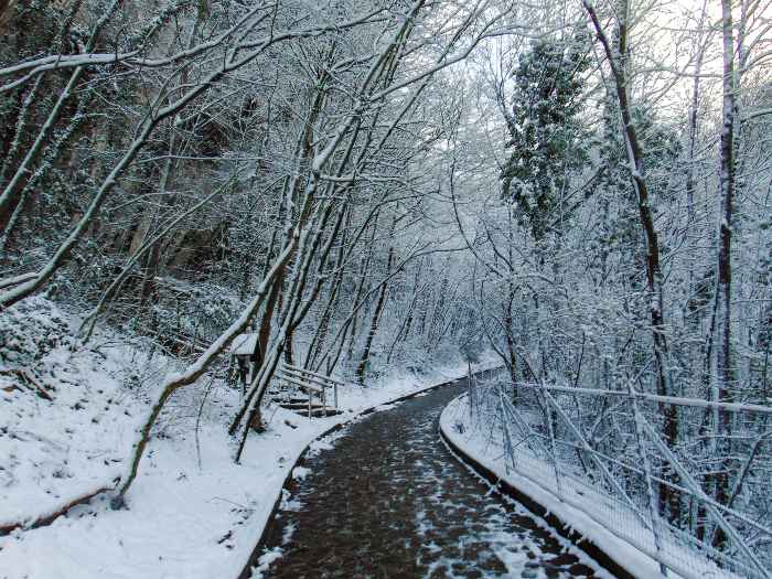 Sentiero per l’Eremo di Santa Maria Infra Saxa