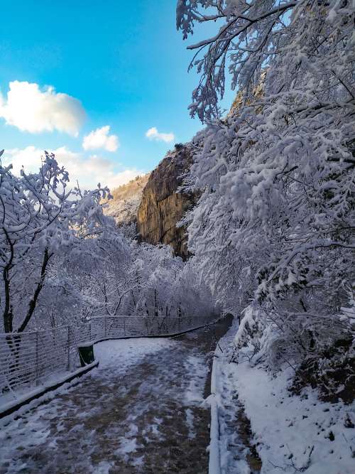 Sentiero con la neve