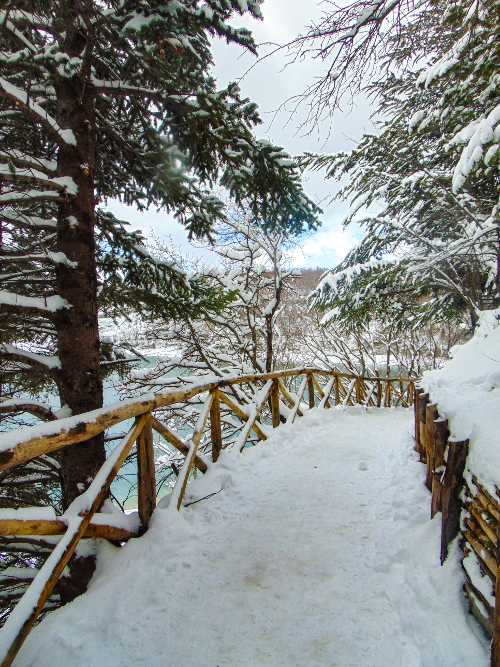 Sentiero natura in inverno