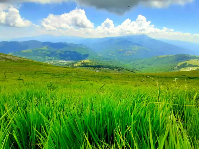 Panorama di montagna