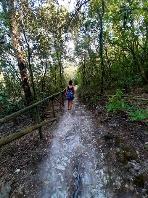 Passeggiata nei sentieri del bosco