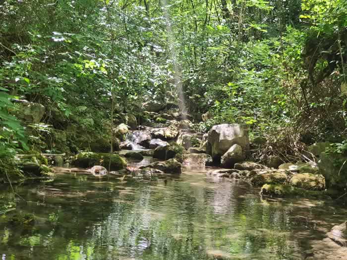 Laghetto nel bosco