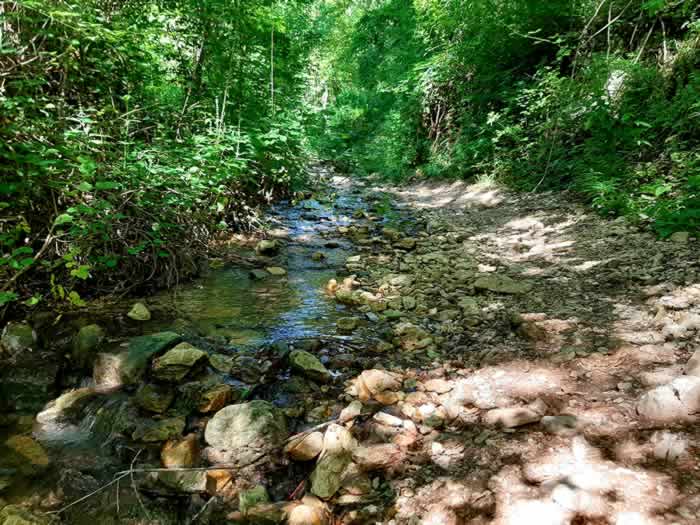 Ruscello e sentiero di montagna