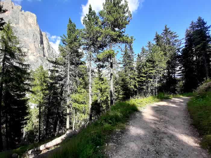 Sentieri sulle Dolomiti