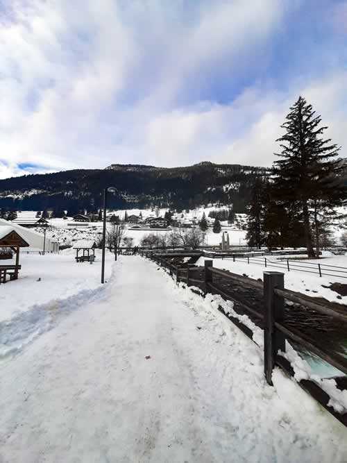 Passeggiata sulla neve