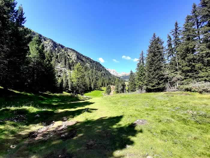 Pascolo e prati in Trentino Alto Adige