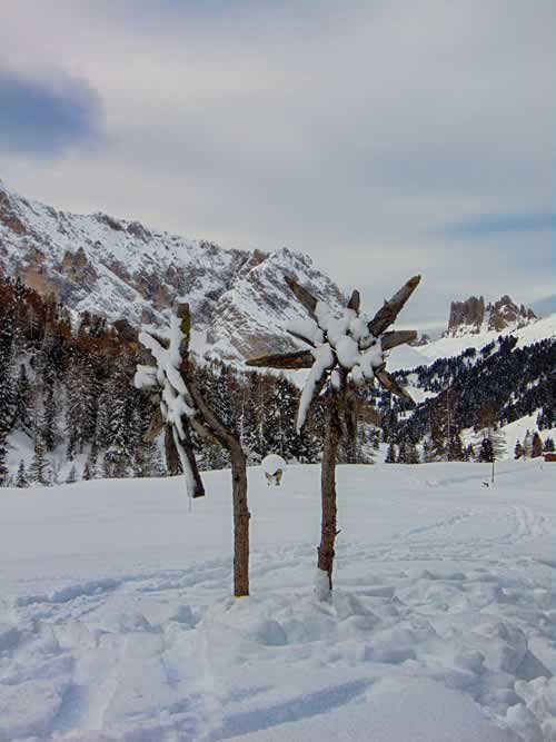 Statua in legno di una stella alpina