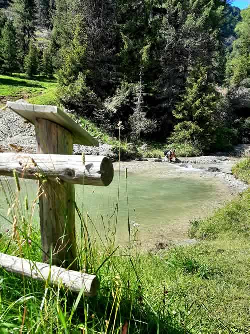 Acqua del ruscello di montagna