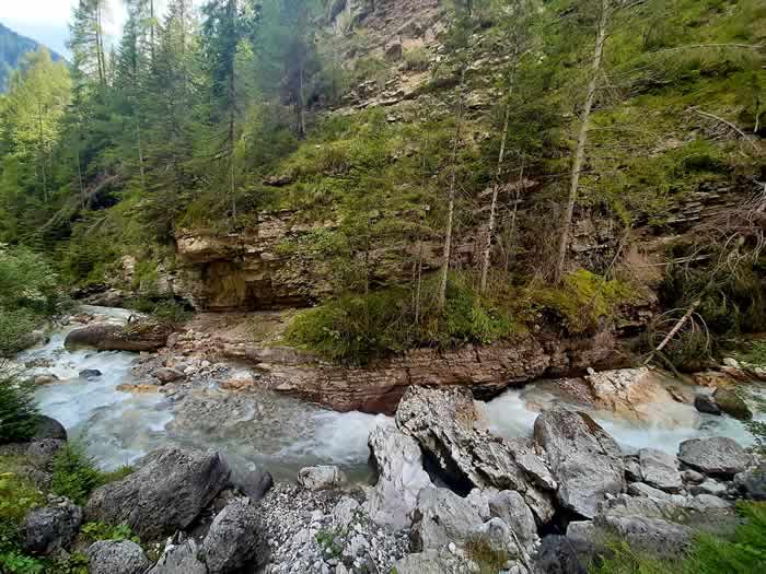 Ruscello in bosco di montagna