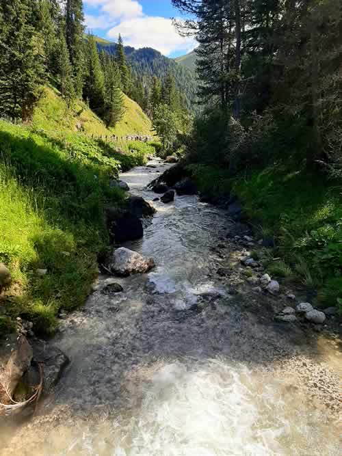 Torrente di montagna