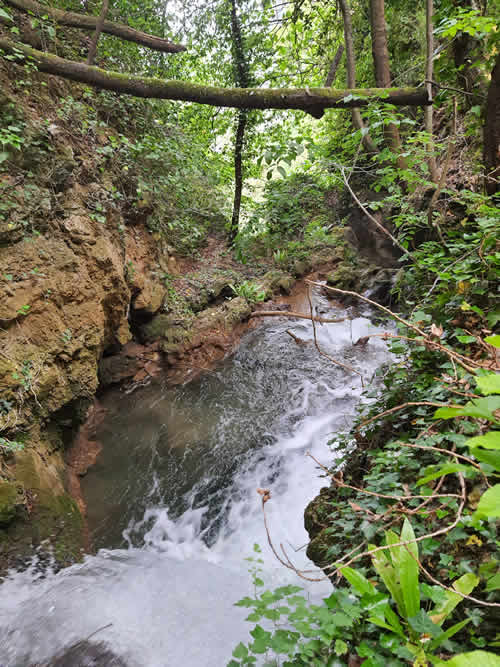 Fiume Menotre sul bosco