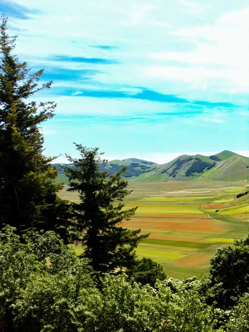 Campi Castelluccio di Norcia