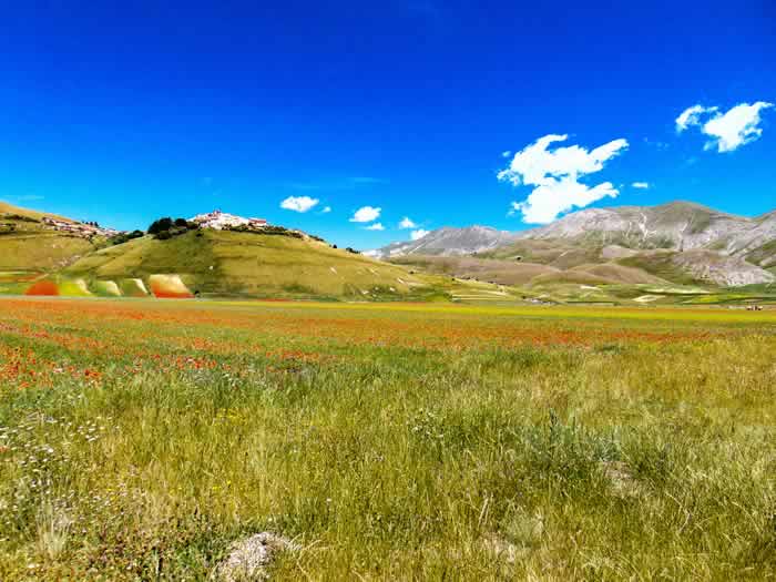 Fioritura Castelluccio di Norcia Umbria