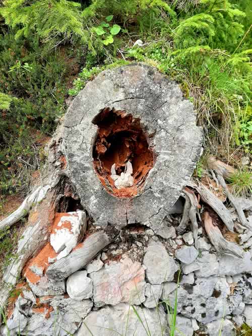 Presepe con sassi dentro un tronco di albero