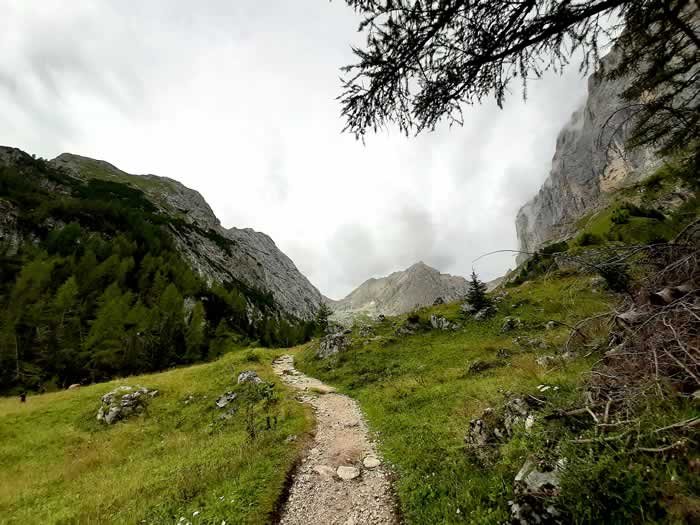 Sentiero per arrivare al Rifugio Falier